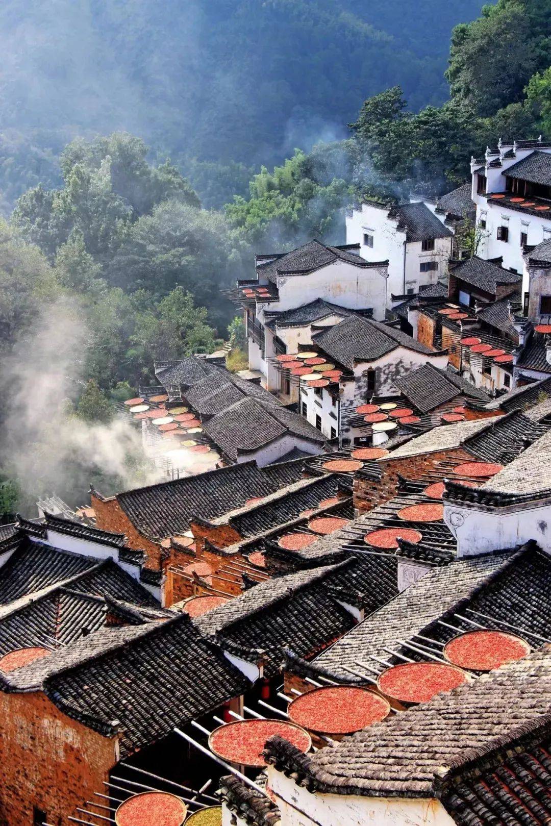 江西暖阳,我们的快乐时光印记